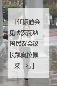 任振鹤会见博茨瓦纳国民议会议长凯奥拉佩采一行