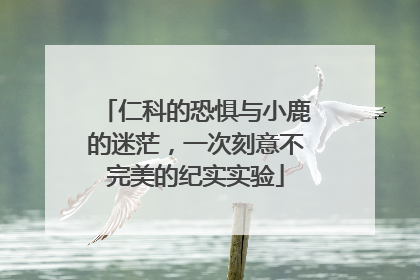 仁科的恐惧与小鹿的迷茫，一次刻意不完美的纪实实验