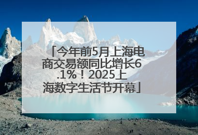 今年前5月上海电商交易额同比增长6.1%！2025上海数字生活节开幕
