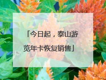 今日起，泰山游览年卡恢复销售