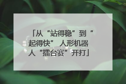 从“站得稳”到“起得快” 人形机器人“擂台赛”开打