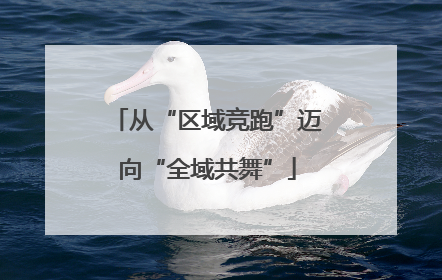 从“区域竞跑”迈向“全域共舞”
