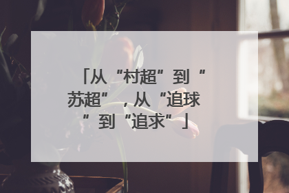 从“村超”到“苏超”，从“追球”到“追求”