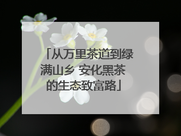 从万里茶道到绿满山乡 安化黑茶的生态致富路
