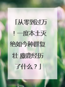 从零到过万！一度本土灭绝如今种群复壮 麋鹿经历了什么？