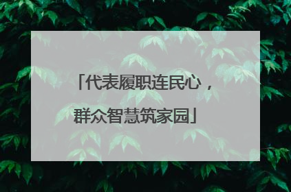 代表履职连民心，群众智慧筑家园