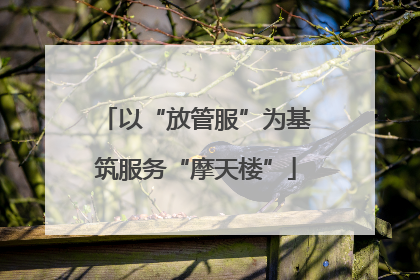 以“放管服”为基筑服务“摩天楼”