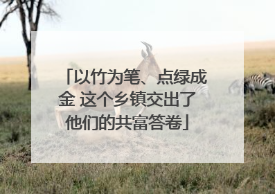 以竹为笔、点绿成金 这个乡镇交出了他们的共富答卷