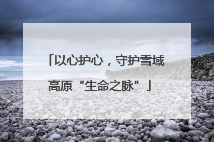 以心护心，守护雪域高原“生命之脉”