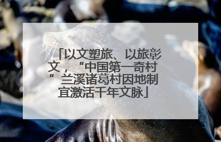 以文塑旅、以旅彰文，“中国第一奇村”兰溪诸葛村因地制宜激活千年文脉