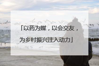 以药为媒，以会交友，为乡村振兴注入动力