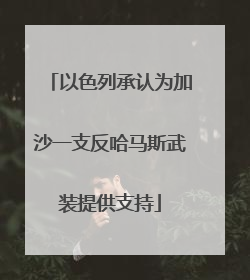 以色列承认为加沙一支反哈马斯武装提供支持