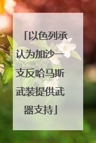 以色列承认为加沙一支反哈马斯武装提供武器支持