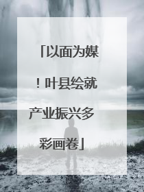 以面为媒！叶县绘就产业振兴多彩画卷