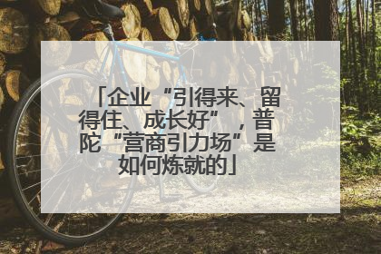 企业“引得来、留得住、成长好”，普陀“营商引力场”是如何炼就的