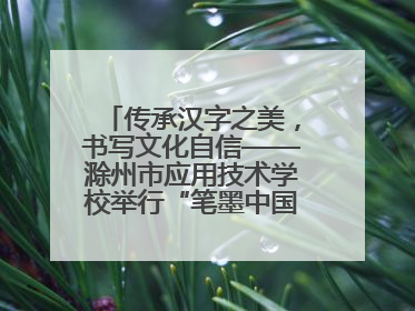 传承汉字之美，书写文化自信——滁州市应用技术学校举行“笔墨中国”汉字书写比赛表彰大会