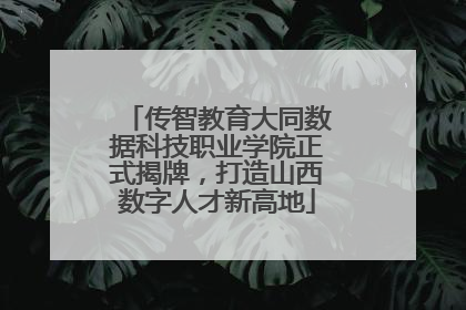 传智教育大同数据科技职业学院正式揭牌，打造山西数字人才新高地