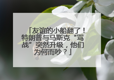 友谊的小船翻了！特朗普与马斯克“骂战”突然升级，他们为何而吵？