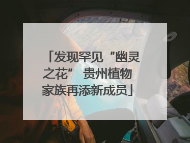发现罕见“幽灵之花” 贵州植物家族再添新成员