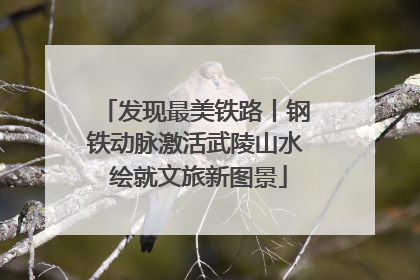 发现最美铁路丨钢铁动脉激活武陵山水 绘就文旅新图景