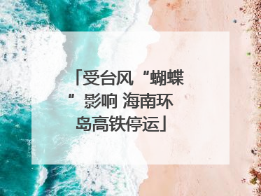 受台风“蝴蝶”影响 海南环岛高铁停运