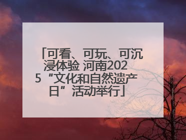 可看、可玩、可沉浸体验 河南2025“文化和自然遗产日”活动举行
