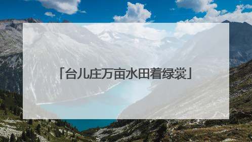 台儿庄万亩水田着绿裳