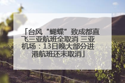 台风“蝴蝶”致成都直飞三亚航班全取消 三亚机场：13日晚大部分进港航班还未取消