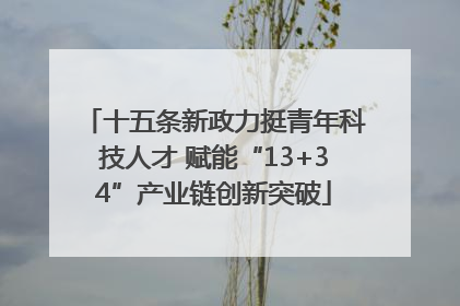 十五条新政力挺青年科技人才 赋能“13+34”产业链创新突破