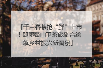 千亩春茶抢“鲜”上市！即墨鳌山卫茶旅融合绘就乡村振兴新图景