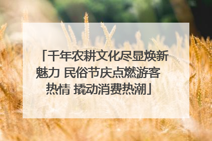 千年农耕文化尽显焕新魅力 民俗节庆点燃游客热情 撬动消费热潮