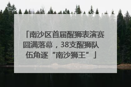 南沙区首届醒狮表演赛圆满落幕，38支醒狮队伍角逐“南沙狮王”