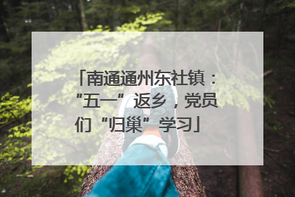 南通通州东社镇：“五一”返乡，党员们“归巢”学习