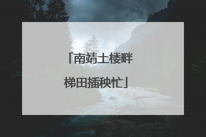 南靖土楼畔 梯田插秧忙