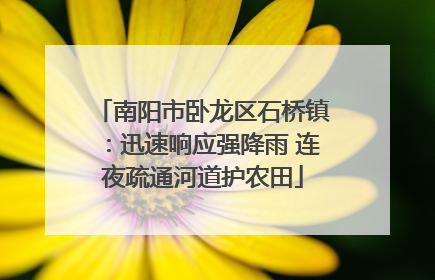 南阳市卧龙区石桥镇：迅速响应强降雨 连夜疏通河道护农田