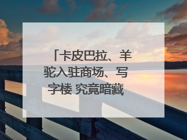 卡皮巴拉、羊驼入驻商场、写字楼 究竟暗藏哪些隐患？