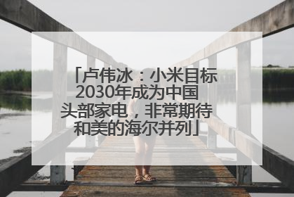 卢伟冰：小米目标2030年成为中国头部家电，非常期待和美的海尔并列