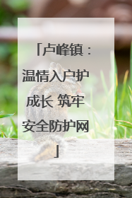 卢峰镇：温情入户护成长 筑牢安全防护网