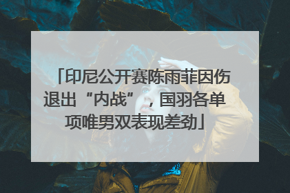 印尼公开赛陈雨菲因伤退出“内战”，国羽各单项唯男双表现差劲
