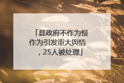 县政府不作为慢作为引发重大舆情，25人被处理