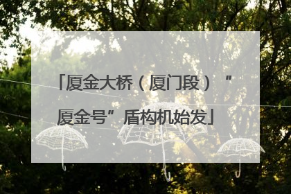厦金大桥（厦门段）“厦金号”盾构机始发