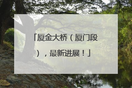厦金大桥（厦门段），最新进展！