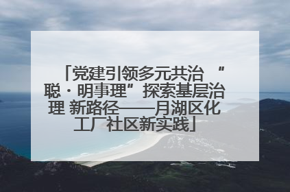 党建引领多元共治 “聪・明事理”探索基层治理 新路径——月湖区化工厂社区新实践