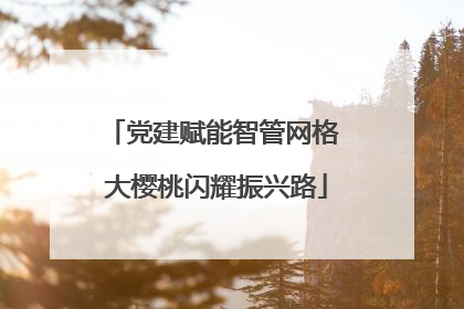 党建赋能智管网格 大樱桃闪耀振兴路