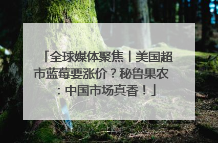 全球媒体聚焦丨美国超市蓝莓要涨价？秘鲁果农：中国市场真香！