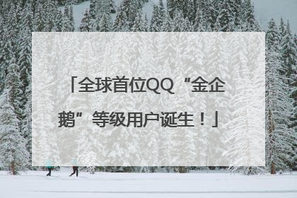 全球首位QQ“金企鹅”等级用户诞生！