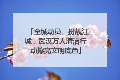 全城动员、扮靓江城，武汉万人清洁行动擦亮文明底色
