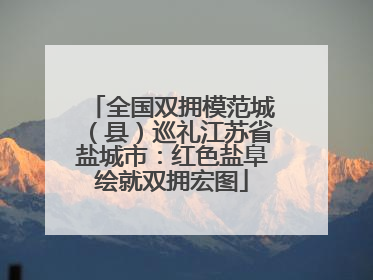 全国双拥模范城（县）巡礼江苏省盐城市：红色盐阜绘就双拥宏图
