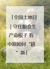 全国土地日｜守住粮食生产命根子 看中原如何“耕”新