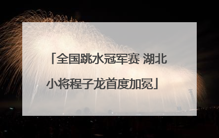 全国跳水冠军赛 湖北小将程子龙首度加冕